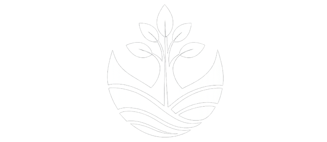 logo 1p