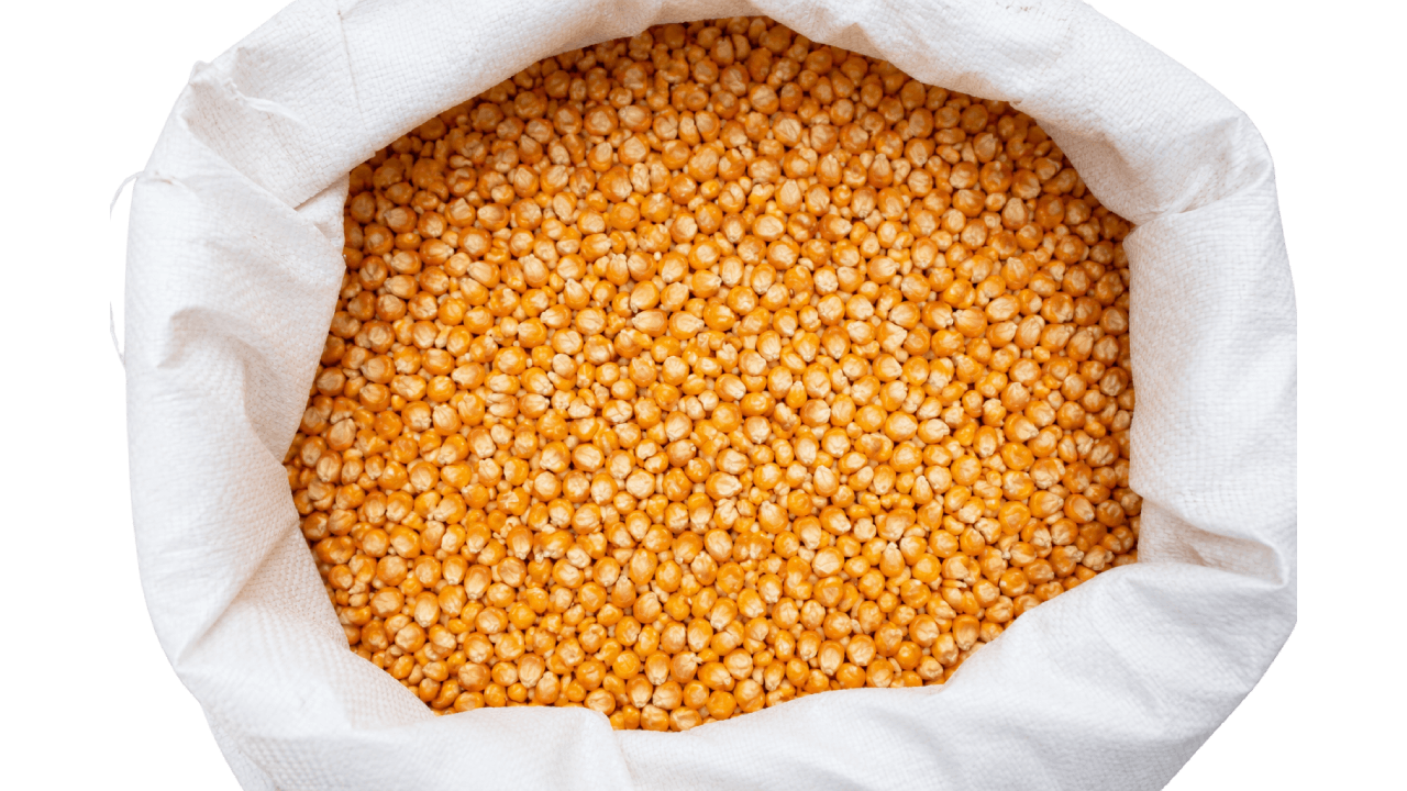 jagung 2
